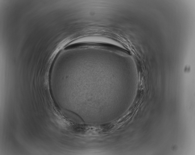 X0000095910099200801111241