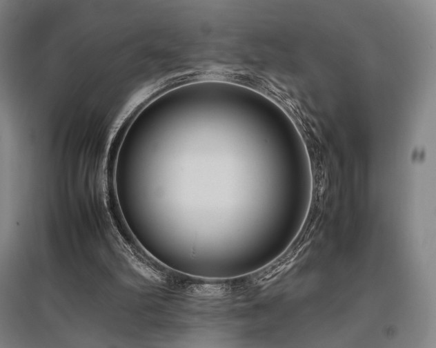 X0000095910102200801111241