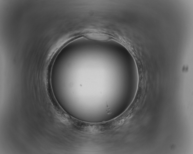 X0000095910103200801111241