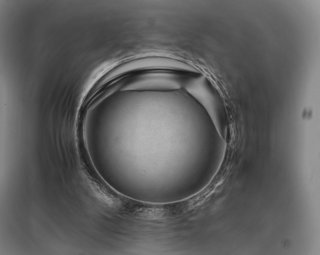 X0000095910104200801111241