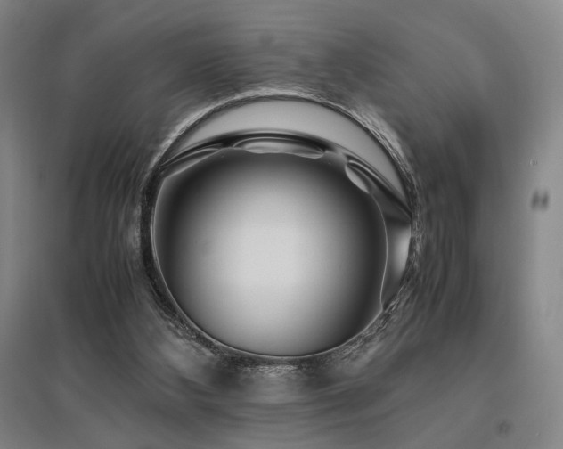 X0000095910108200801111241