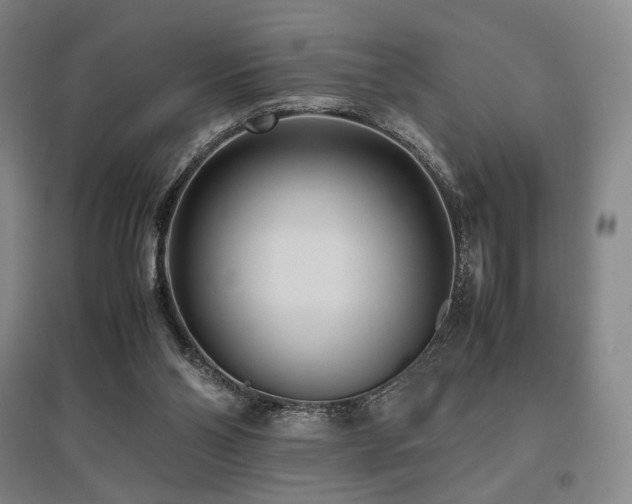 X0000095910110200801111241