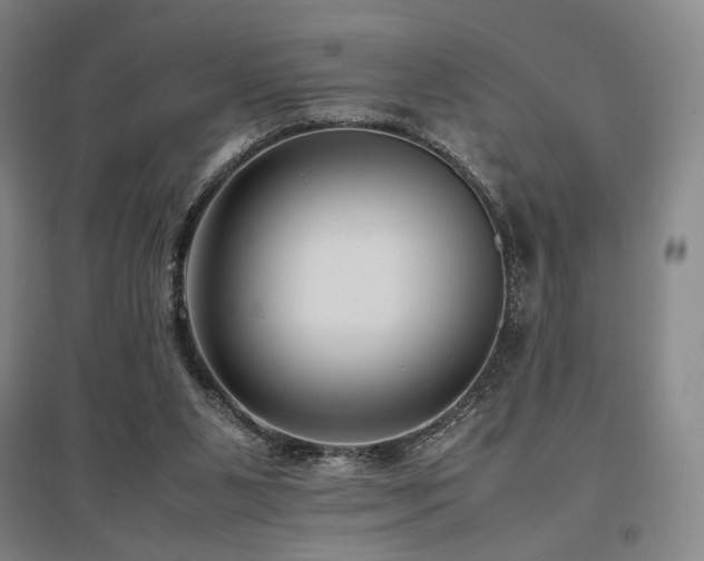 X0000095910111200801111241