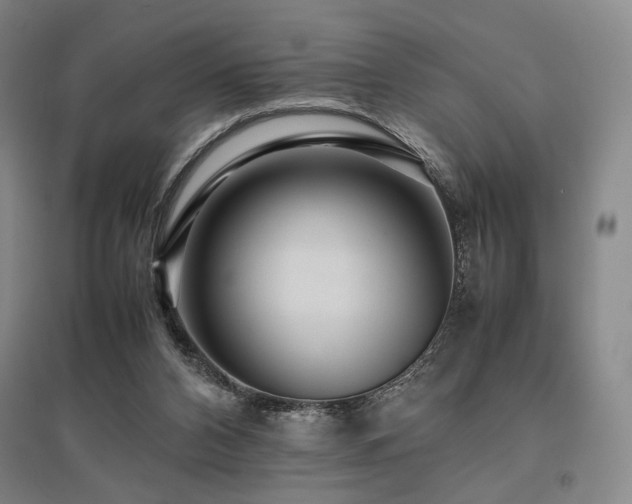 X0000095910112200801111241