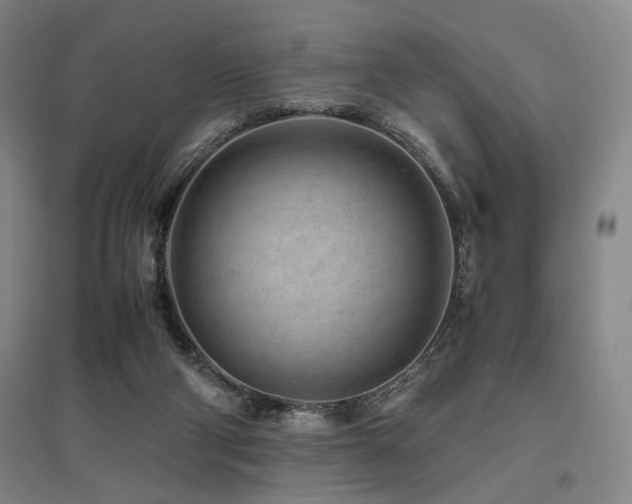 X0000095910114200801111241