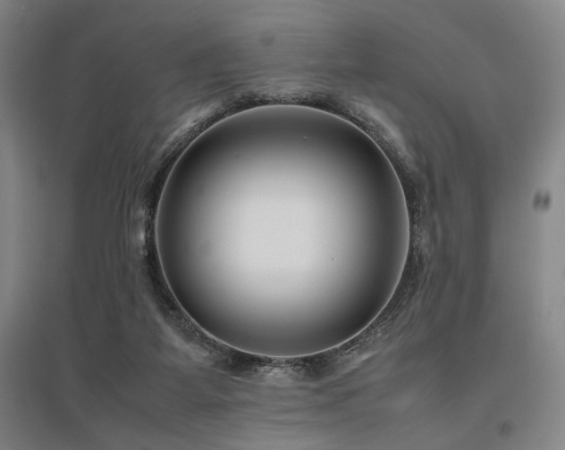 X0000095910115200801111241