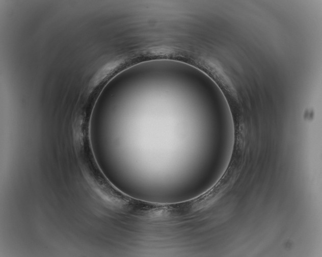 X0000095910116200801111241