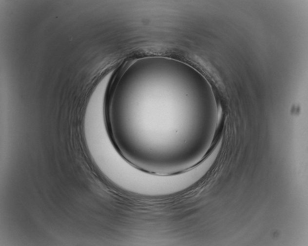 X0000095910117200801111241