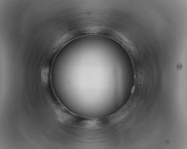 X0000095910118200801111241