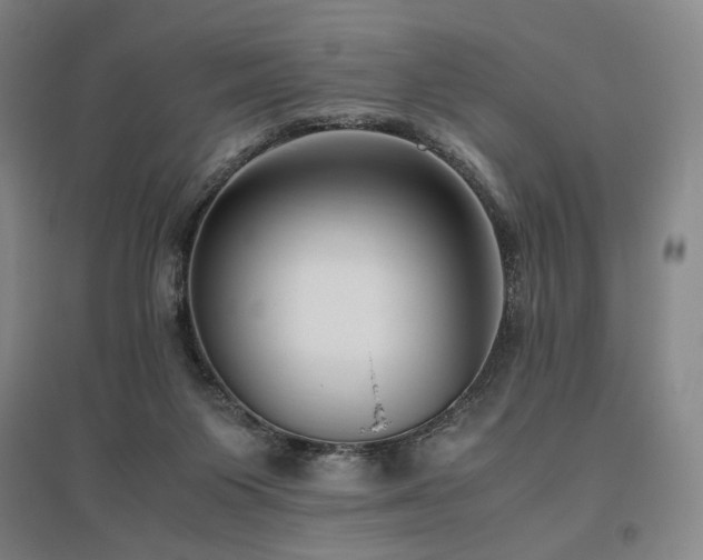 X0000095910119200801111241