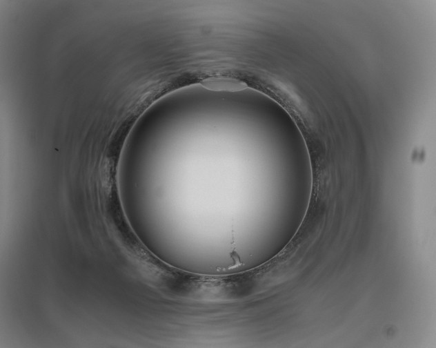 X0000095910121200801111241