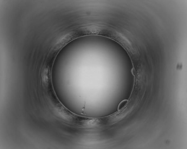 X0000095910122200801111241