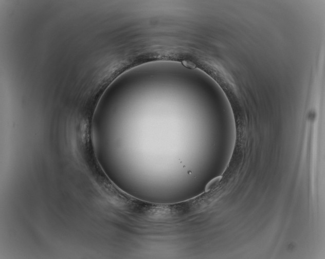 X0000095910123200801111241