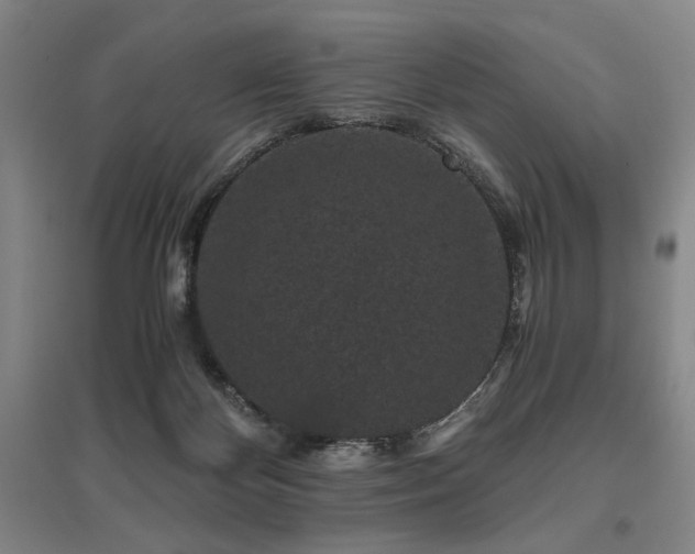 X0000095910124200801111241