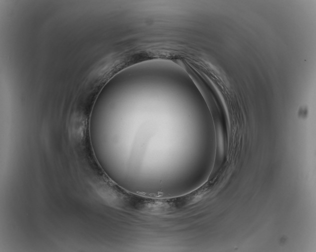 X0000095910125200801111241