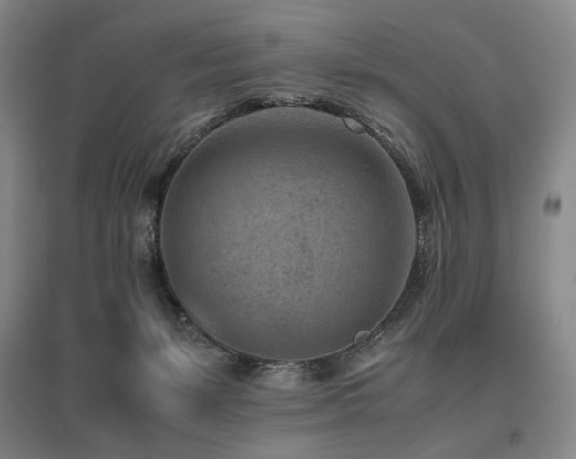 X0000095910127200801111241