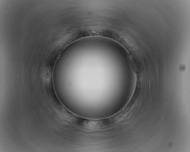 X0000095910129200801111241