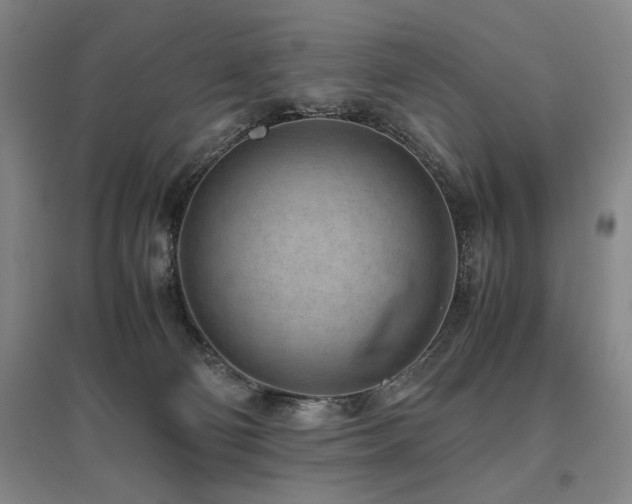 X0000095910130200801111241