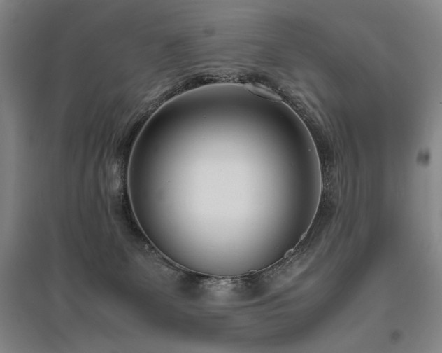 X0000095910131200801111241