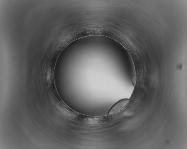 X0000095910134200801111241