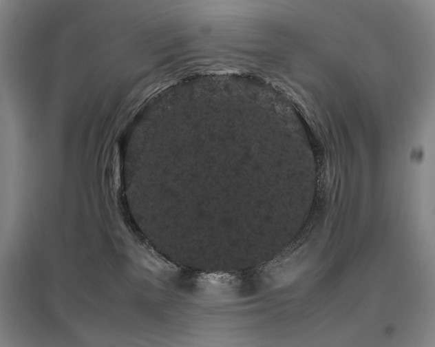 X0000095910137200801111241