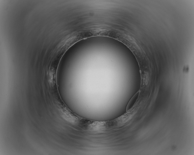 X0000095910138200801111241