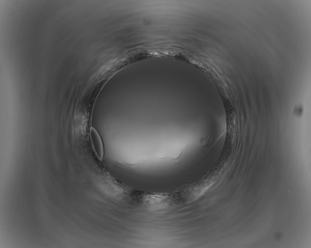 X0000095910139200801111241