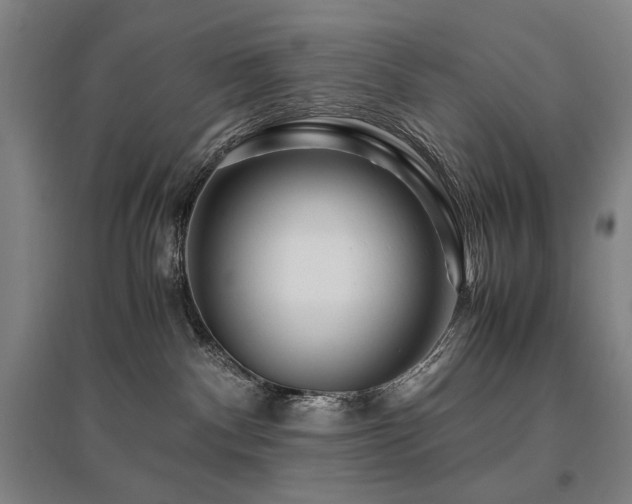 X0000095910140200801111241