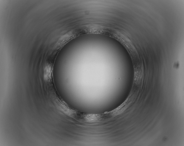 X0000095910142200801111240