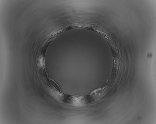 X0000095910143200801111240