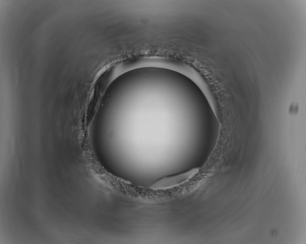 X0000095910144200801111240