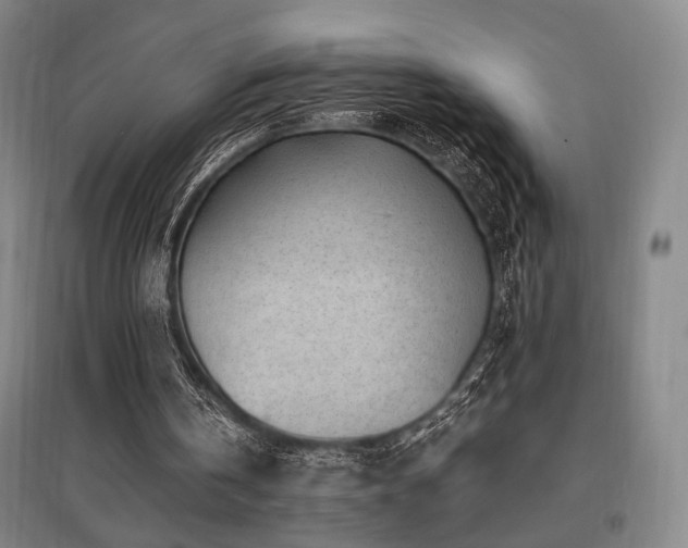 X0000095910146200801111240