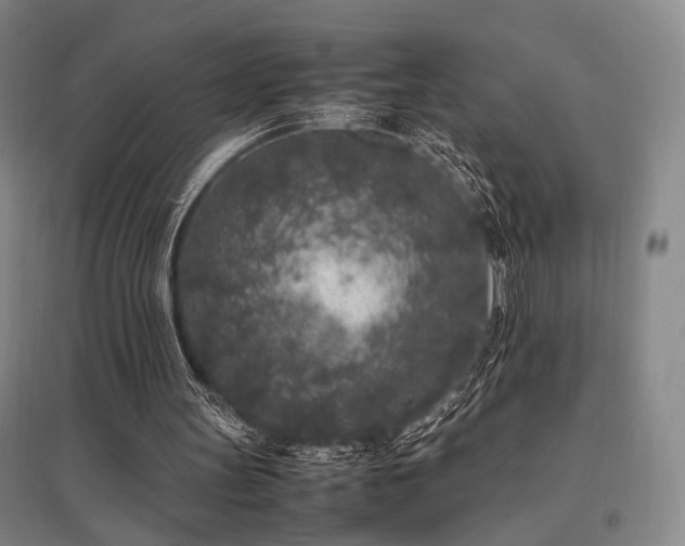 X0000095910147200801111240