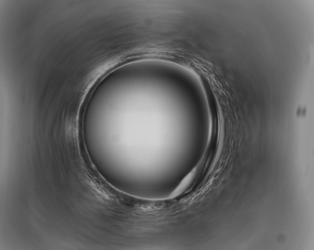 X0000095910148200801111240