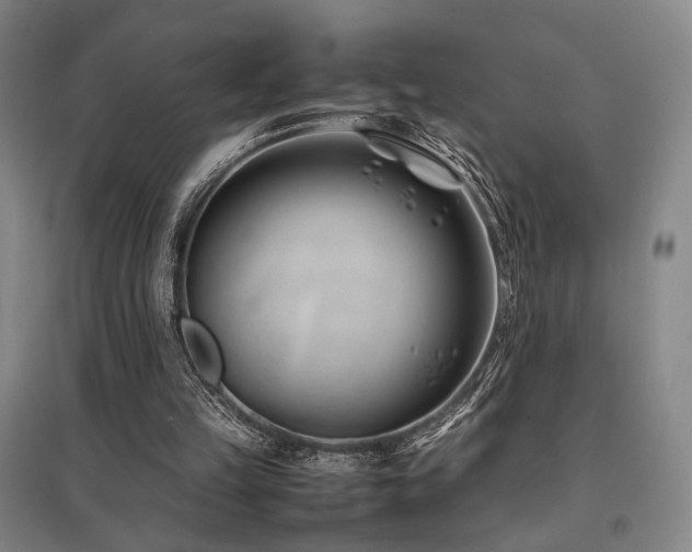 X0000095910149200801111240