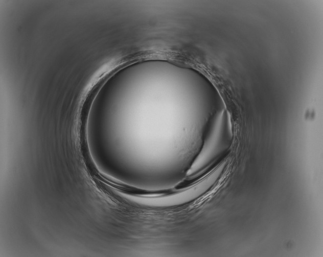 X0000095910150200801111240