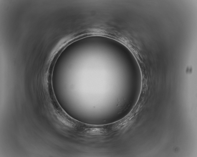 X0000095910151200801111240