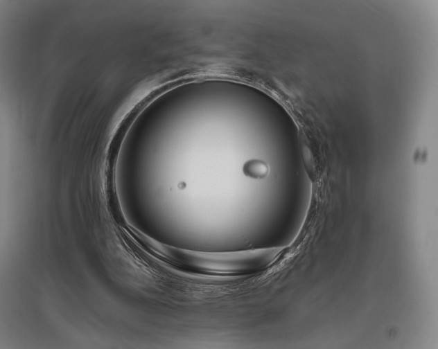 X0000095910152200801111240