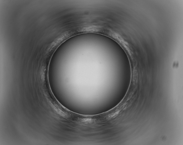 X0000095910153200801111240