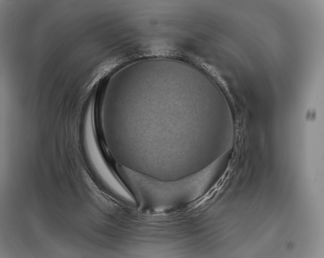 X0000095910154200801111240