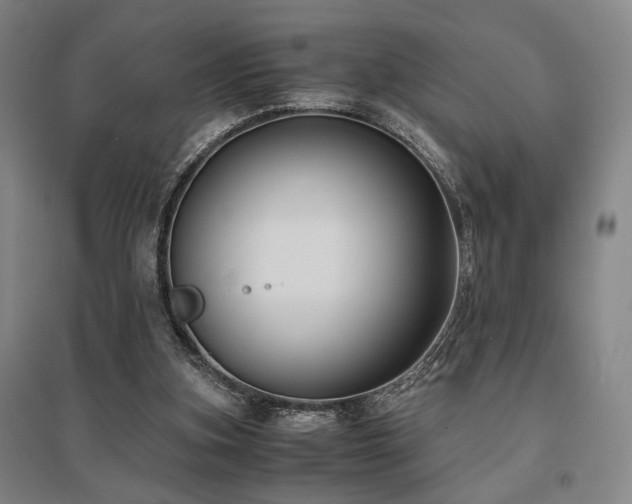 X0000095910155200801111240