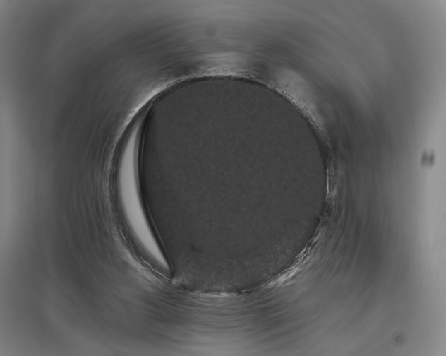 X0000095910156200801111240