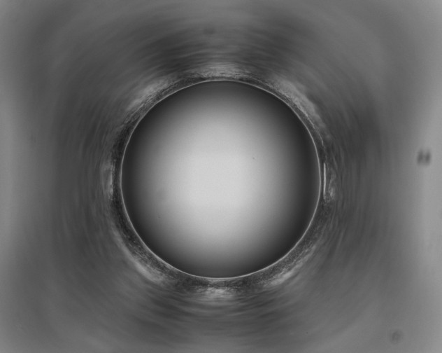 X0000095910157200801111240