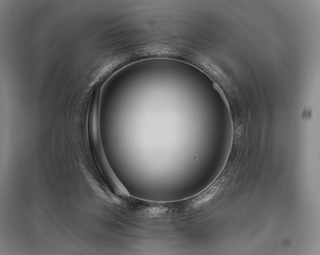 X0000095910158200801111240