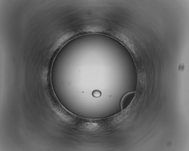 X0000095910159200801111240