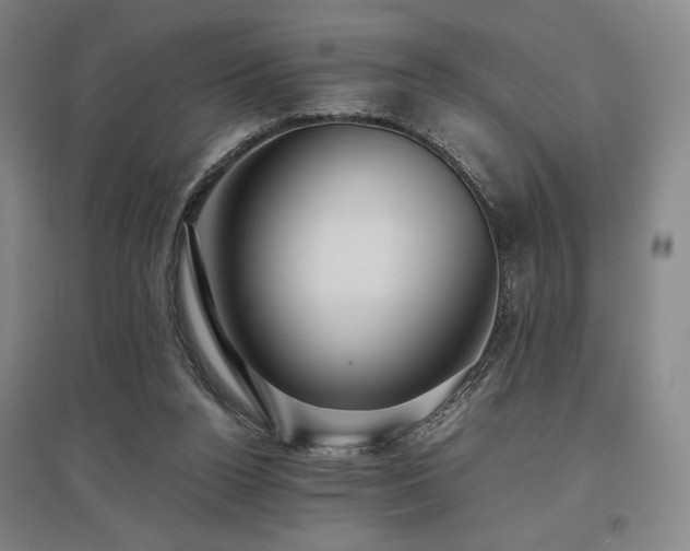 X0000095910160200801111240