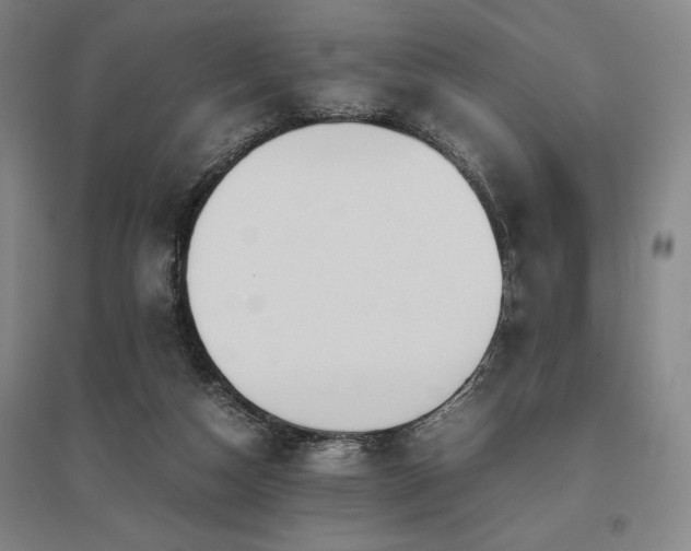 X0000095910162200801111240