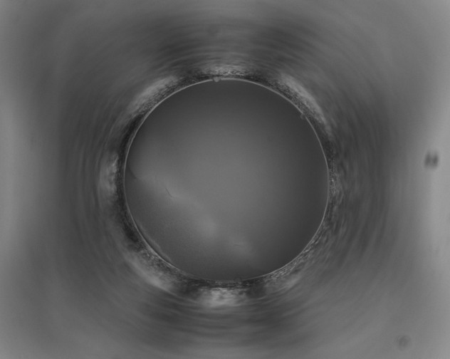 X0000095910163200801111240