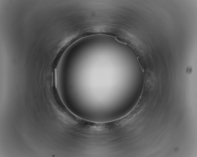 X0000095910164200801111240