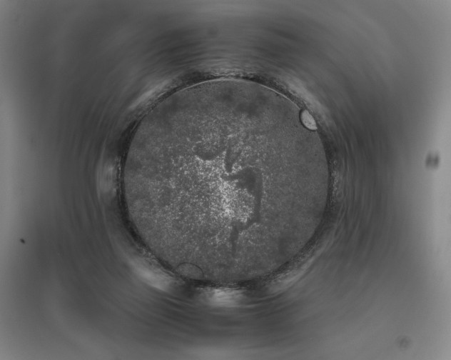 X0000095910165200801111240